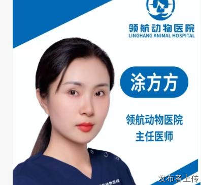 涂方方：十五载深耕宠物医疗，用专业与温度守护每一个毛孩子