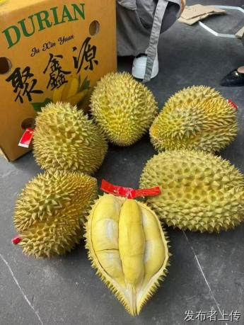 鑫荣懋榴莲的品质保障：清谷果业的匠心呈现