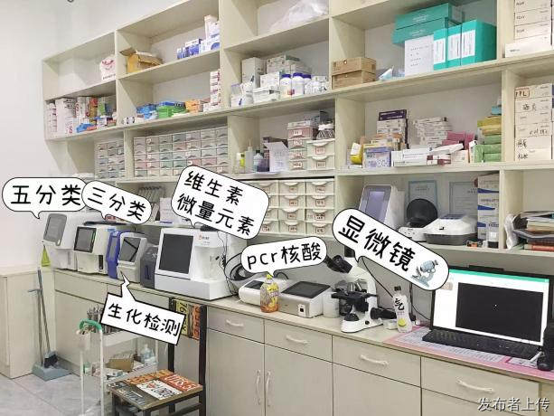2026年8月长春朝阳知名宠物医护院推荐孙浩然宠物医护院靠谱
