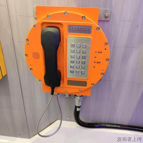 壁挂式防爆应急电话 一键紧急呼叫对讲系统 防爆扩音对讲话站