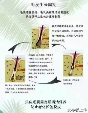 氺湟龚白发脱发管理