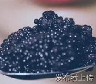 鲟鱼提取物