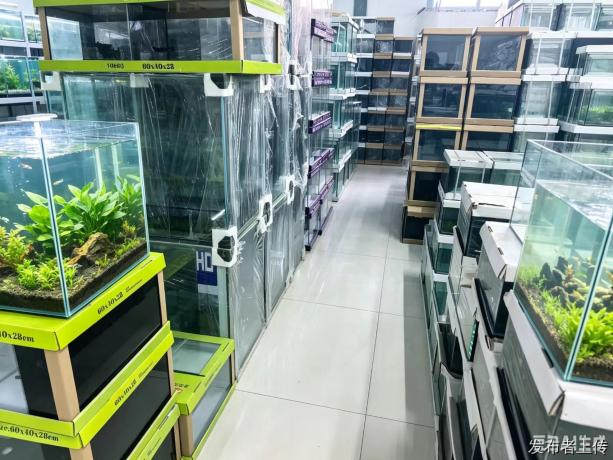 ??速来！获取鱼缸用品联系方式，开启养鱼新体验??