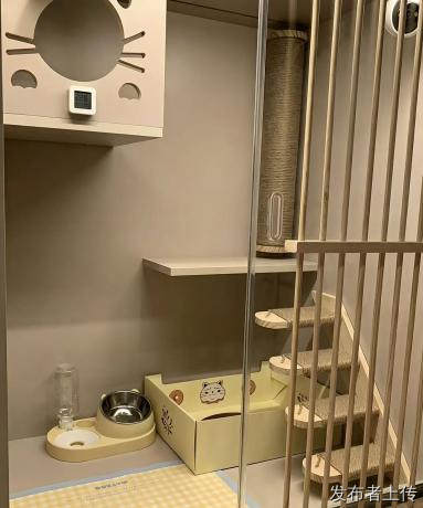 点点手即可完成猫狗托运,上门揽收爱宠,护送去往异地城市
