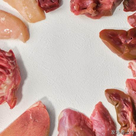 给猫狗自制鲜食、生骨肉