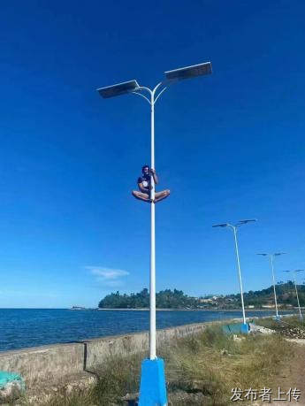 太阳能灭蚊灯厂家：南德灭蚊照明产品解析