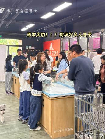 南京靠谱宠物基地汇总测评,综合环境防疫维修打分,帮你避开陷阱