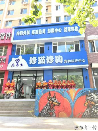 2026 沈阳猫咪疫苗接种：选院、价格、正品、幼猫首针全攻略